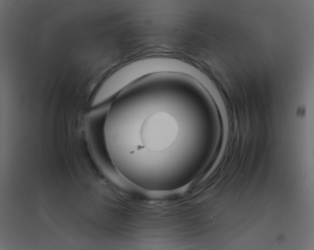 X0000094930508200712131540