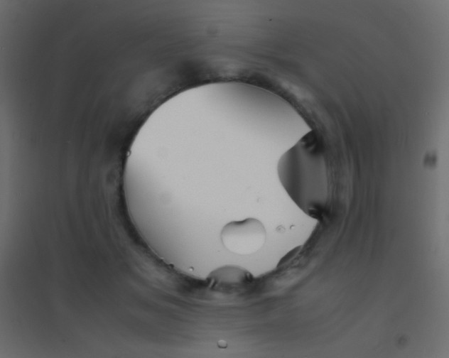 X0000094930509200712131540