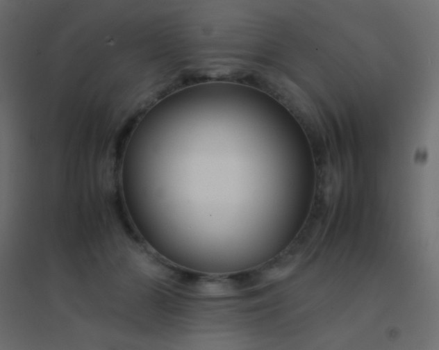 X0000094930510200712131540
