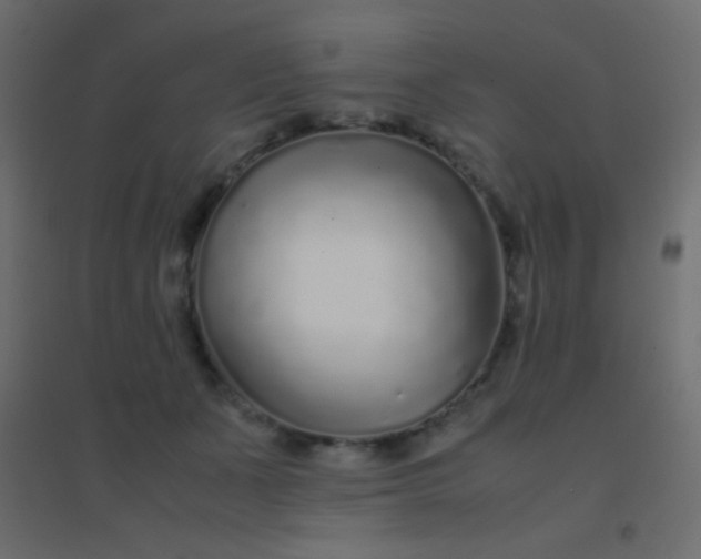 X0000094930511200712131540