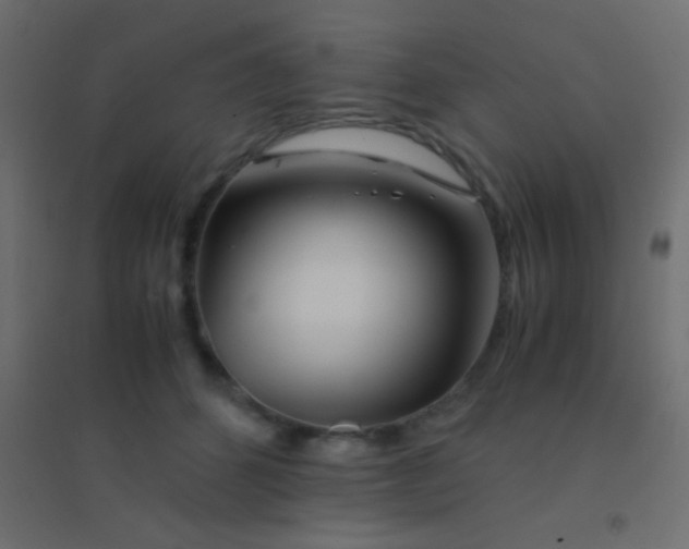 X0000094930512200712131540