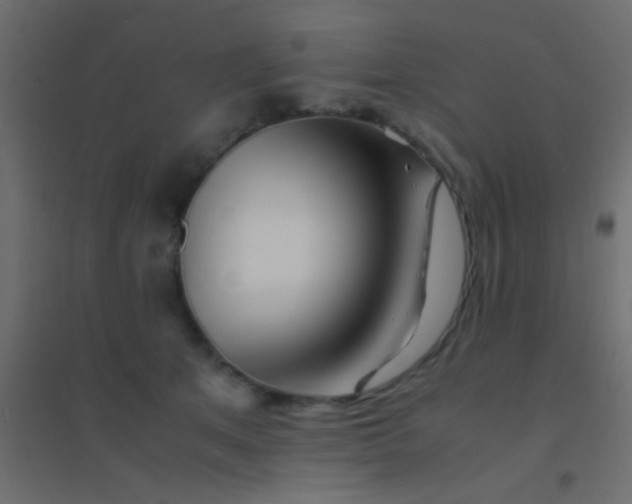 X0000094930513200712131540