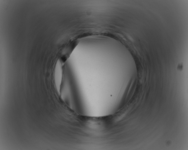 X0000094930515200712131540