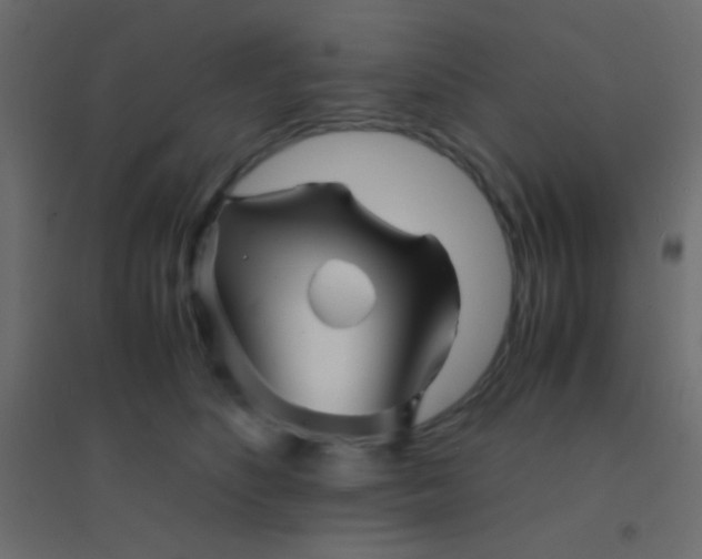 X0000094930516200712131540
