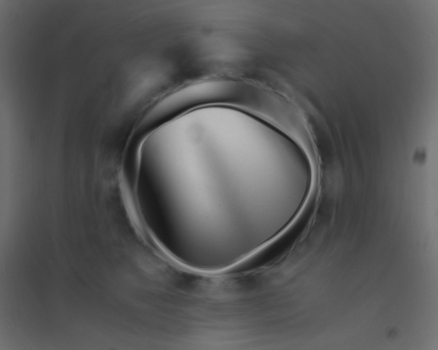 X0000094930517200712131540