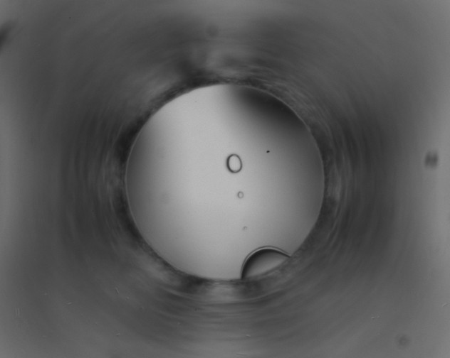 X0000094930518200712131540