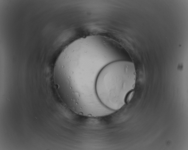 X0000094930519200712131540