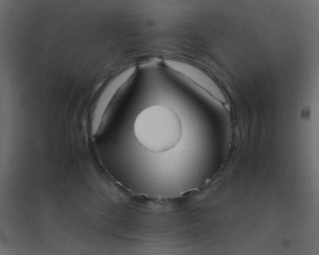 X0000094930520200712131540