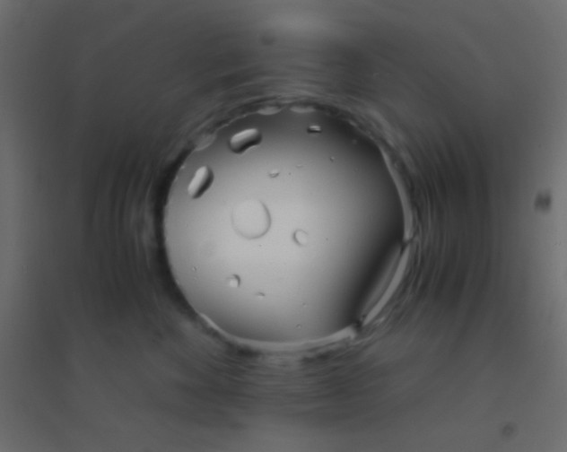 X0000094930524200712131540