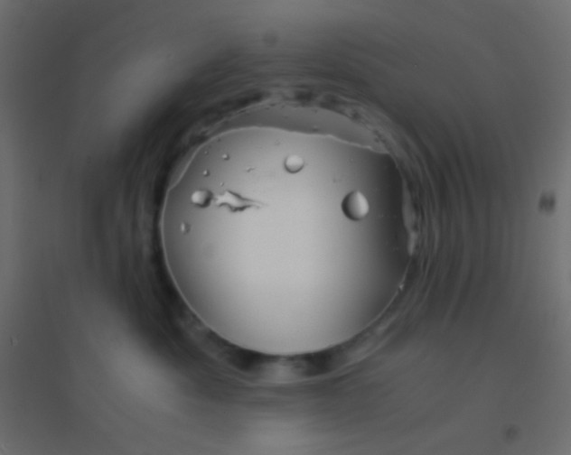 X0000094930525200712131540