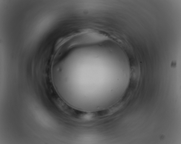 X0000094930527200712131540