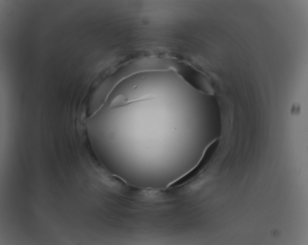 X0000094930528200712131540