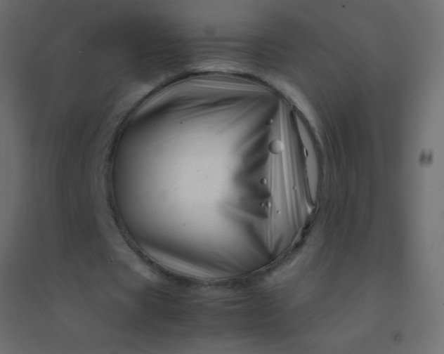 X0000094930529200712131539
