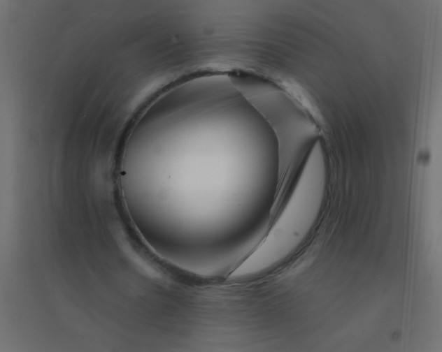 X0000094930530200712131539