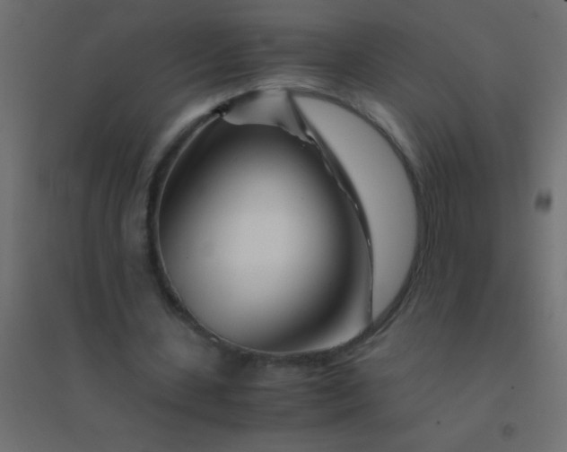 X0000094930531200712131539