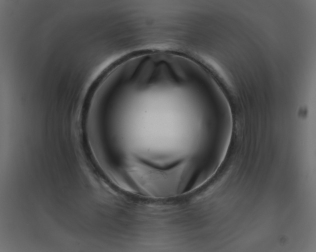 X0000094930532200712131539