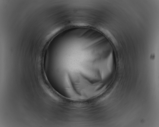 X0000094930533200712131539