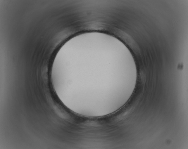 X0000094930534200712131539
