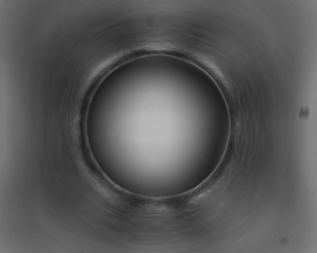 X0000094930535200712131539