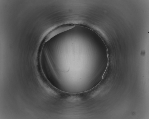 X0000094930536200712131539