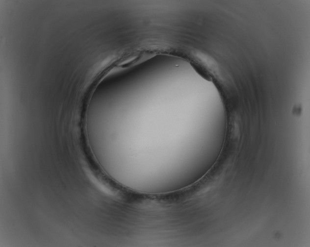 X0000094930538200712131539