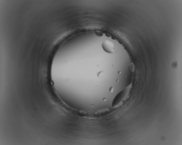 X0000094930539200712131539