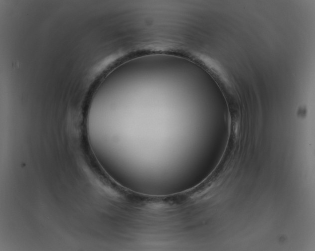 X0000094930540200712131539