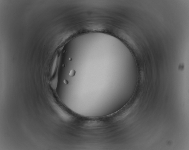 X0000094930541200712131539