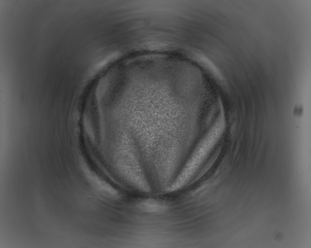 X0000094930542200712131539