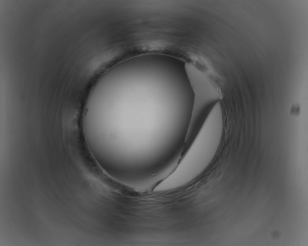 X0000094930543200712131539