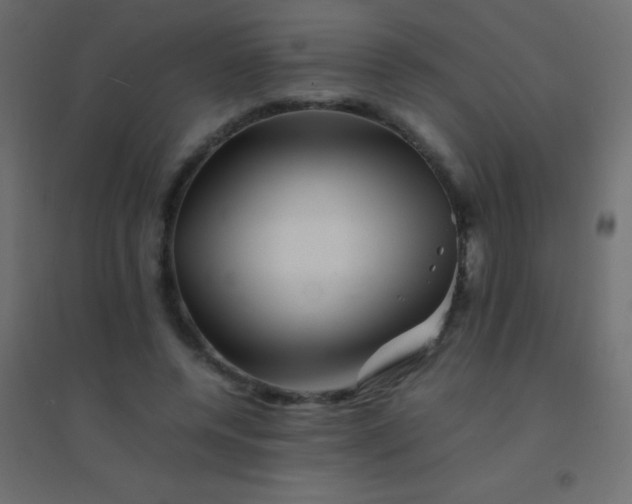 X0000094930544200712131539