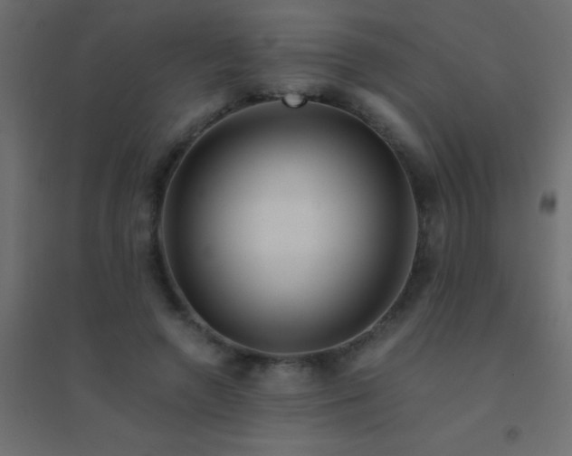 X0000094930546200712131539