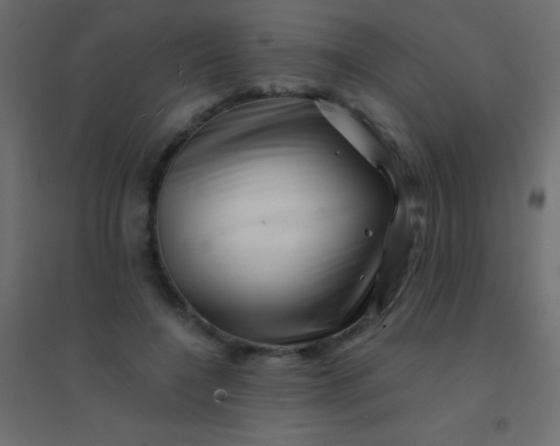 X0000094930548200712131539