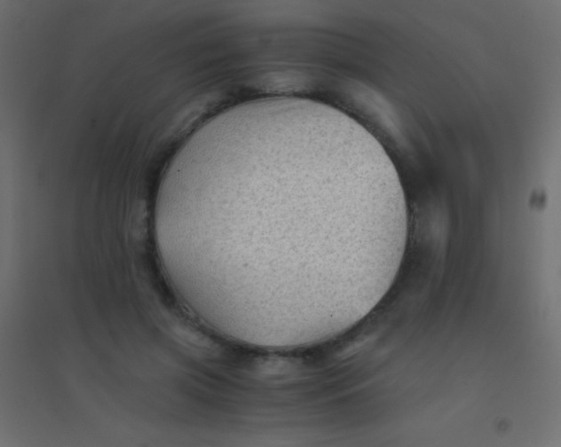 X0000094930549200712131539