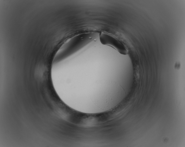 X0000094930551200712131540