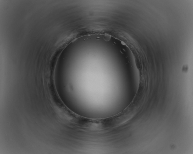 X0000094930552200712131540