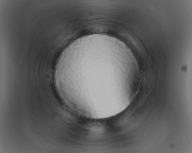 X0000094930553200712131540