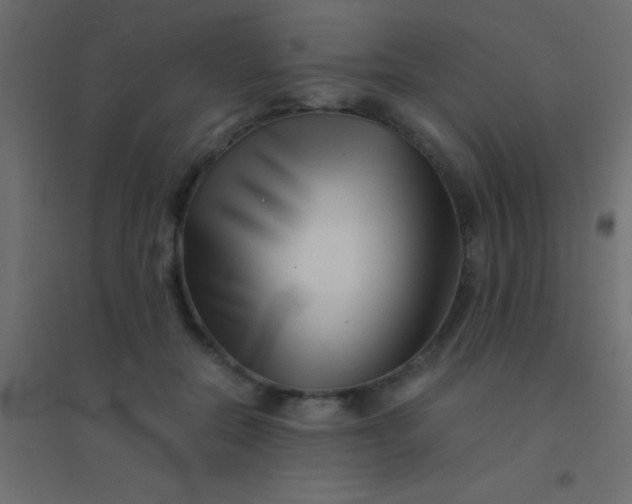 X0000094930554200712131540