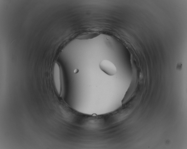X0000094930555200712131540