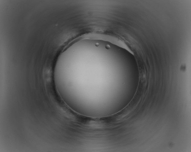 X0000094930556200712131540