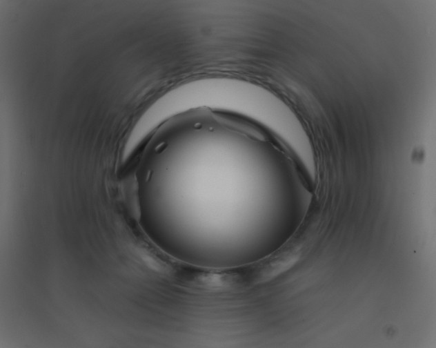 X0000094930558200712131540