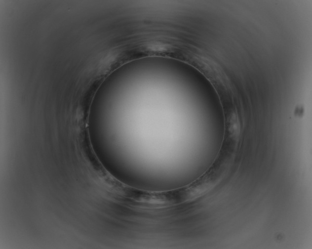 X0000094930559200712131540