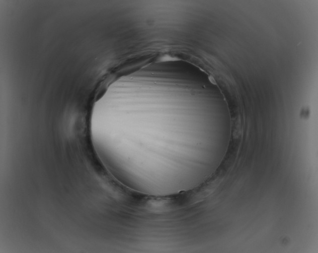X0000094930560200712131540