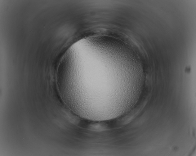 X0000094930561200712131540