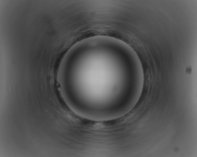 X0000094930562200712131540