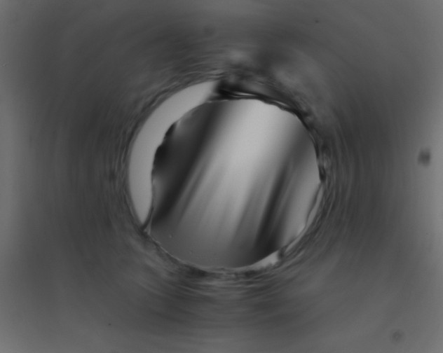 X0000094930563200712131540