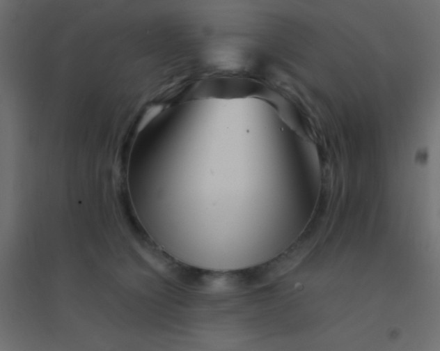 X0000094930564200712131540