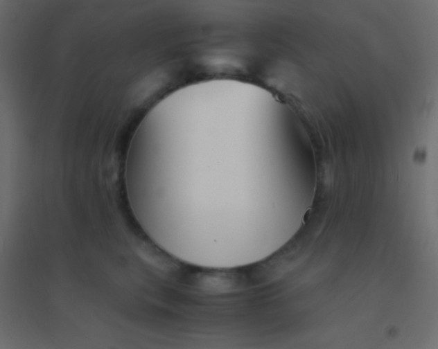 X0000094930567200712131540