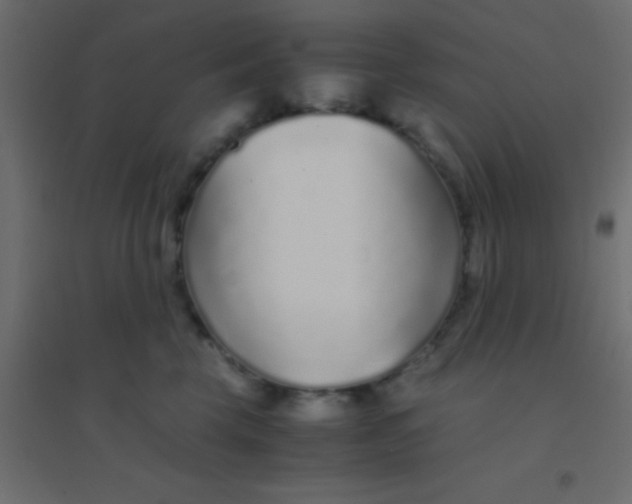 X0000094930569200712131540