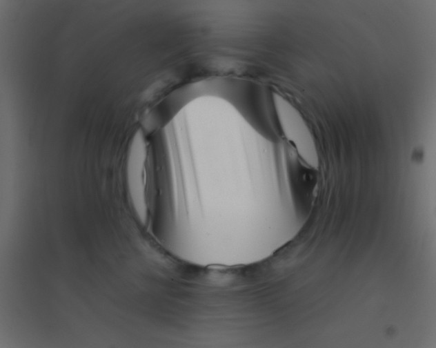 X0000094930570200712131540